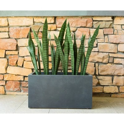 Budget 💯 Kante Lightweight Modern Long Low Outdoor Concrete Rectangular Planter - Rosemead Home & Garden, Inc. Charcoal 👏 3 Budget 💯 Kante Lightweight Modern Long Low Outdoor Concrete Rectangular Planter - Rosemead Home & Garden, Inc. Charcoal 👏