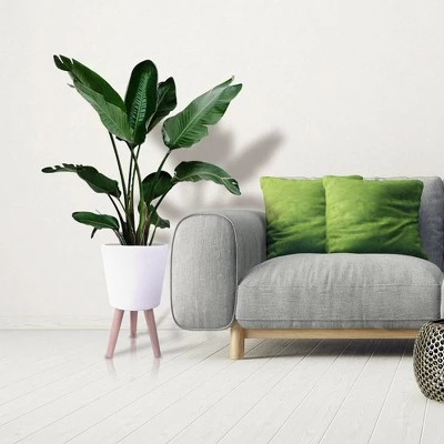 New ๐ฏ Rosemead Home & Garden, Inc. 20.9" Lightweight Cement Classic Outdoor/Indoor Planter with Wooden Legs White - Rosemead Home & Garden, Inc. ๐ 4 New ๐ฏ Rosemead Home & Garden, Inc. 20.9" Lightweight Cement Classic Outdoor/Indoor Planter with Wooden Legs White - Rosemead Home & Garden, Inc. ๐ - Image 2