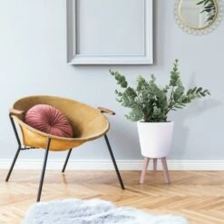 New ๐ฏ Rosemead Home & Garden, Inc. 20.9" Lightweight Cement Classic Outdoor/Indoor Planter with Wooden Legs White - Rosemead Home & Garden, Inc. ๐ 7 New ๐ฏ Rosemead Home & Garden, Inc. 20.9" Lightweight Cement Classic Outdoor/Indoor Planter with Wooden Legs White - Rosemead Home & Garden, Inc. ๐ -Planters Sales Store unnamed file 3455