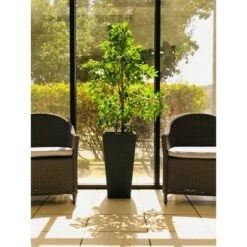 Best deal 👏 Rosemead Home & Garden, Inc. 24.4" Kante Lightweight Modern Tapered Concrete Rectangular Planter Charcoal Black - Rosemead Home & Garden, Inc. 🎉 -Planters Sales Store unnamed file 3619