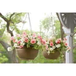 Buy ๐ฅฐ Self-Watering Hanging Basket - Gardener's Supply Company โ๏ธ 5 Buy ๐ฅฐ Self-Watering Hanging Basket - Gardener's Supply Company โ๏ธ -Planters Sales Store unnamed file 3639