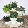 Coupon 😉 The HC Companies 8 Inch Round Stacking Decorative Indoor Pixie Succulent Flower Planter Pot with 3 Planting Levels, Artisan Taupe 🔥