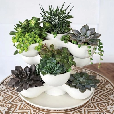Coupon ๐ The HC Companies 8 Inch Round Stacking Decorative Indoor Pixie Succulent Flower Planter Pot with 3 Planting Levels, Artisan Taupe ๐ฅ 3 Coupon ๐ The HC Companies 8 Inch Round Stacking Decorative Indoor Pixie Succulent Flower Planter Pot with 3 Planting Levels, Artisan Taupe ๐ฅ