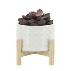 Coupon 🤩 Ceramic Dotted Planter with Wood Stand White - Sagebrook Home 🔔