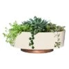 Best deal ✔️ The HC Companies 8 Inch Round Plastic Capri Bowl Decorative Indoor Flower Succulent Planter Pot with Drain Plug Hole, Vanilla Bisque ✔️ -Planters Sales Store unnamed file 3706
