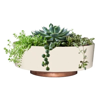 Best deal ✔️ The HC Companies 8 Inch Round Plastic Capri Bowl Decorative Indoor Flower Succulent Planter Pot with Drain Plug Hole, Vanilla Bisque ✔️ 3 Best deal ✔️ The HC Companies 8 Inch Round Plastic Capri Bowl Decorative Indoor Flower Succulent Planter Pot with Drain Plug Hole, Vanilla Bisque ✔️