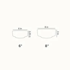 Best deal ✔️ The HC Companies 8 Inch Round Plastic Capri Bowl Decorative Indoor Flower Succulent Planter Pot with Drain Plug Hole, Vanilla Bisque ✔️ 7 Best deal ✔️ The HC Companies 8 Inch Round Plastic Capri Bowl Decorative Indoor Flower Succulent Planter Pot with Drain Plug Hole, Vanilla Bisque ✔️ -Planters Sales Store unnamed file 3708