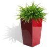 Best deal 😀 Algreen Modena 22-Inch Tall Inside/Outside Self-Watering Square Decorative Planter Pot with Wheels, Glossy Red 👏 1 Best deal 😀 Algreen Modena 22-Inch Tall Inside/Outside Self-Watering Square Decorative Planter Pot with Wheels, Glossy Red 👏 -Planters Sales Store unnamed file 3709