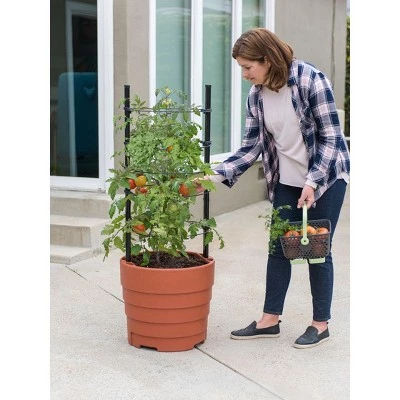 Cheap π― Gardener's Victory Self-Watering Planter Garden Kit - Gardener's Supply Company π 4 Cheap π― Gardener's Victory Self-Watering Planter Garden Kit - Gardener's Supply Company π - Image 2