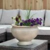 Coupon π₯° Sunnydaze Decor Sunnydaze Elizabeth Ribbed Polyresin Outdoor/Indoor Unbreakable Double-Walled Urn Flower Pot Planter - 16" Diameter - 4-Pack - Beige π 2 Coupon π₯° Sunnydaze Decor Sunnydaze Elizabeth Ribbed Polyresin Outdoor/Indoor Unbreakable Double-Walled Urn Flower Pot Planter - 16" Diameter - 4-Pack - Beige π -Planters Sales Store unnamed file 3733