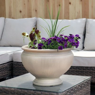 Coupon ๐ฅฐ Sunnydaze Decor Sunnydaze Elizabeth Ribbed Polyresin Outdoor/Indoor Unbreakable Double-Walled Urn Flower Pot Planter - 16" Diameter - 4-Pack - Beige ๐ 3 Coupon ๐ฅฐ Sunnydaze Decor Sunnydaze Elizabeth Ribbed Polyresin Outdoor/Indoor Unbreakable Double-Walled Urn Flower Pot Planter - 16" Diameter - 4-Pack - Beige ๐
