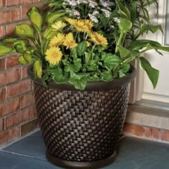 Coupon β Suncast 1807J4 18 x 16.5 Inch Wicker Resin Large Indoor/Outdoor Dirt Pot Home Garden Planter for Flowers and Plants, Dark Brown π₯ 8 Coupon β Suncast 1807J4 18 x 16.5 Inch Wicker Resin Large Indoor/Outdoor Dirt Pot Home Garden Planter for Flowers and Plants, Dark Brown π₯ -Planters Sales Store unnamed file 3738