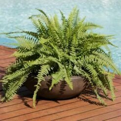 Best reviews of ✨ Sunnydaze Decor Sunnydaze Indoor/Outdoor Patio, Garden, or Porch Weather-Resistant Double-Walled Percival Flower Pot Planter - 21" - Sable Finish - 4pk ✨ 6 Best reviews of ✨ Sunnydaze Decor Sunnydaze Indoor/Outdoor Patio, Garden, or Porch Weather-Resistant Double-Walled Percival Flower Pot Planter - 21" - Sable Finish - 4pk ✨ -Planters Sales Store unnamed file 3762