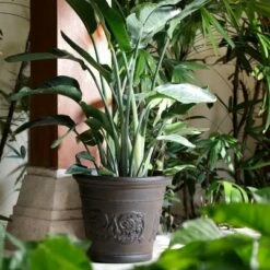 Outlet ⭐ Sunnydaze Decor Sunnydaze Indoor/Outdoor Patio, Garden, or Porch Weather-Resistant Double-Walled Arabella Flower Pot Planter - 16" - Rust Finish - 4pk 🧨 -Planters Sales Store unnamed file 3780