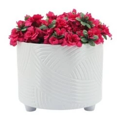 Budget ❤️ Sagebrook Home Set of 2 Swirl Ceramic Footed Planters White 👍 -Planters Sales Store unnamed file 3817