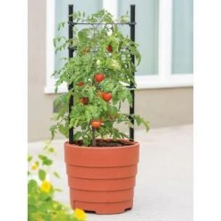 Top 10 😀 Victory Self-Watering Planter with Support System - Gardener's Supply Company 🎁