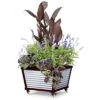 Flash Sale ❤️ Galvanized Self-Watering Planter Square, Short - Gardener's Supply Company 😍 -Planters Sales Store unnamed file 3851