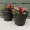 Coupon 🎁 Sunnydaze Decor Sunnydaze Indoor/Outdoor Patio, Garden, or Porch Weather-Resistant Double-Walled Franklin Flower Pot Planter - 20" - Sable Finish - 4pk 😀