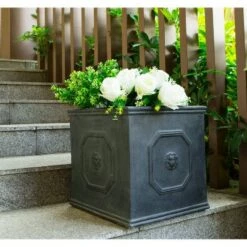 Brand new ✨ Kante Lightweight Classic Square English Style Lion Head Planter - Rosemead Home & Garden, Inc. Bronze 👏