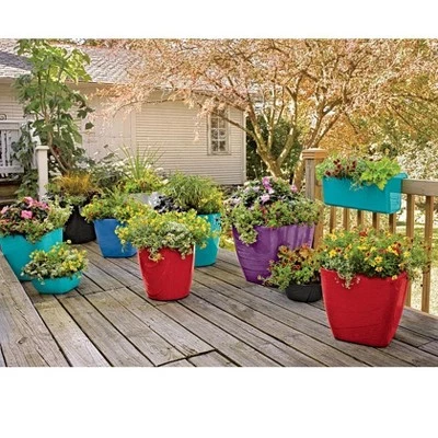 Top 10 ๐ Viva Self-Watering Rolling Planter, Round Small - Gardener's Supply Company ๐ 2 Top 10 ๐ Viva Self-Watering Rolling Planter, Round Small - Gardener's Supply Company ๐