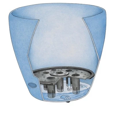 Top 10 ๐ Viva Self-Watering Rolling Planter, Round Small - Gardener's Supply Company ๐ 5 Top 10 ๐ Viva Self-Watering Rolling Planter, Round Small - Gardener's Supply Company ๐ - Image 4