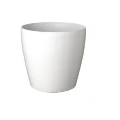 Top 10 ๐ Viva Self-Watering Rolling Planter, Round Small - Gardener's Supply Company ๐ 14 Top 10 ๐ Viva Self-Watering Rolling Planter, Round Small - Gardener's Supply Company ๐ -Planters Sales Store unnamed file 3981