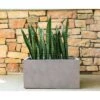 Brand new ✨ Kante Lightweight Outdoor Durable Modern Rectangular Concrete Planter Weathered Concrete Gray - Rosemead Home & Garden, Inc. ✨
