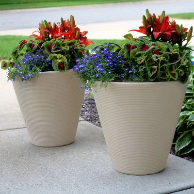 Deals ๐ Sunnydaze Decor Sunnydaze Indoor/Outdoor Patio, Garden, or Porch Weather-Resistant Double-Walled Walter Flower Pot Planter - 16" - Antique White - 2pk ๐ 2 Deals ๐ Sunnydaze Decor Sunnydaze Indoor/Outdoor Patio, Garden, or Porch Weather-Resistant Double-Walled Walter Flower Pot Planter - 16" - Antique White - 2pk ๐