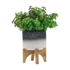 Outlet ๐ฅ Ceramic Planter on Wooden Stand Gray to White - Sagebrook Home ๐งจ 12 Outlet ๐ฅ Ceramic Planter on Wooden Stand Gray to White - Sagebrook Home ๐งจ -Planters Sales Store unnamed file 4048