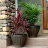 Hot Sale 🥰 Sunnydaze Decor Sunnydaze Indoor/Outdoor Patio, Garden, or Porch Weather-Resistant Double-Walled Charlotte Flower Pot Planter - 16" - Rust Finish - 2pk 🔔 1 Hot Sale 🥰 Sunnydaze Decor Sunnydaze Indoor/Outdoor Patio, Garden, or Porch Weather-Resistant Double-Walled Charlotte Flower Pot Planter - 16" - Rust Finish - 2pk 🔔 -Planters Sales Store unnamed file 4108