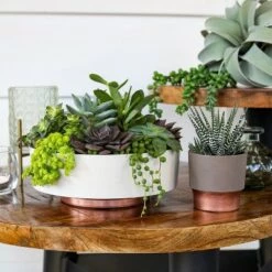 Coupon ๐ฏ The HC Companies 8 Inch Round Plastic Capri Bowl Decorative Indoor Flower Succulent Planter Pot with Drain Plug Hole, Vanilla Bisque ๐งจ