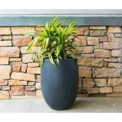Best deal 🧨 Rosemead Home & Garden, Inc. 21.7" Kante Lightweight Outdoor Tall Concrete Planter Charcoal Black - Rosemead Home & Garden, Inc. 😍 -Planters Sales Store unnamed file 4148