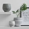 Wholesale 😍 Stoneware Planter Gray & White Striped - 3R Studios 🔔 -Planters Sales Store unnamed file 4152
