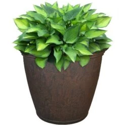 Best Sale ๐งจ Sunnydaze Decor Sunnydaze Anjelica Polyresin Outdoor/Indoor Unbreakable Double-Walled UV-Resistant Flower Pot Planter - 16" Diameter - Rust ๐ 7 Best Sale ๐งจ Sunnydaze Decor Sunnydaze Anjelica Polyresin Outdoor/Indoor Unbreakable Double-Walled UV-Resistant Flower Pot Planter - 16" Diameter - Rust ๐ -Planters Sales Store unnamed file 4226