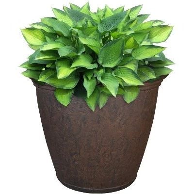 Best Sale ๐งจ Sunnydaze Decor Sunnydaze Anjelica Polyresin Outdoor/Indoor Unbreakable Double-Walled UV-Resistant Flower Pot Planter - 16" Diameter - Rust ๐ 5 Best Sale ๐งจ Sunnydaze Decor Sunnydaze Anjelica Polyresin Outdoor/Indoor Unbreakable Double-Walled UV-Resistant Flower Pot Planter - 16" Diameter - Rust ๐ - Image 3