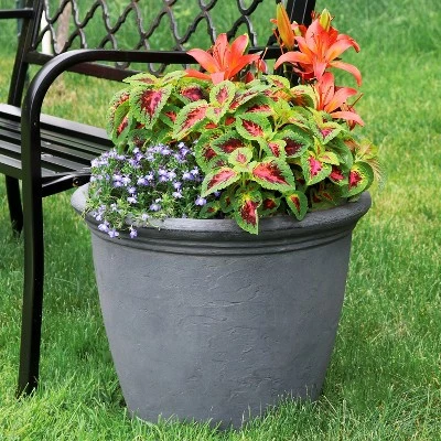 Cheapest ๐ฅ Sunnydaze Decor Sunnydaze Indoor/Outdoor Patio, Garden, or Porch Weather-Resistant Double-Walled Anjelica Flower Pot Planter - 20" - Sable Finish ๐ฅ 3 Cheapest ๐ฅ Sunnydaze Decor Sunnydaze Indoor/Outdoor Patio, Garden, or Porch Weather-Resistant Double-Walled Anjelica Flower Pot Planter - 20" - Sable Finish ๐ฅ