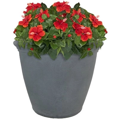 Cheapest ๐ฅ Sunnydaze Decor Sunnydaze Indoor/Outdoor Patio, Garden, or Porch Weather-Resistant Double-Walled Anjelica Flower Pot Planter - 20" - Sable Finish ๐ฅ 5 Cheapest ๐ฅ Sunnydaze Decor Sunnydaze Indoor/Outdoor Patio, Garden, or Porch Weather-Resistant Double-Walled Anjelica Flower Pot Planter - 20" - Sable Finish ๐ฅ - Image 3