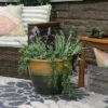 Budget 🌟 Sunnydaze Decor Sunnydaze Chalet Outdoor/Indoor High-Fired Glazed UV- and Frost-Resistant Ceramic Planter with Drainage Holes - 15" Diameter - Forest Lake Green 😀