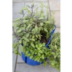 Promo 🔔 Gardener’s Best® Strawberry and Herb Grow Bag - Gardener's Supply Company 🥰 -Planters Sales Store unnamed file 4305