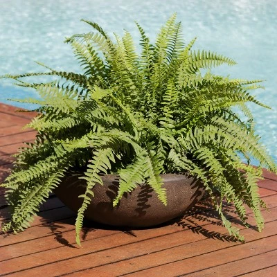 Buy 🥰 Sunnydaze Decor Sunnydaze Indoor/Outdoor Patio, Garden, or Porch Weather-Resistant Double-Walled Percival Flower Pot Planter - 21" - Sable Finish ✔️ 4 Buy 🥰 Sunnydaze Decor Sunnydaze Indoor/Outdoor Patio, Garden, or Porch Weather-Resistant Double-Walled Percival Flower Pot Planter - 21" - Sable Finish ✔️ - Image 2