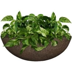 Buy 🥰 Sunnydaze Decor Sunnydaze Indoor/Outdoor Patio, Garden, or Porch Weather-Resistant Double-Walled Percival Flower Pot Planter - 21" - Sable Finish ✔️ 7 Buy 🥰 Sunnydaze Decor Sunnydaze Indoor/Outdoor Patio, Garden, or Porch Weather-Resistant Double-Walled Percival Flower Pot Planter - 21" - Sable Finish ✔️ -Planters Sales Store unnamed file 4308