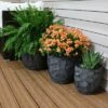 Cheapest 🥰 3pc Homestead Fiber Clay Planter Set - 12", 15", and 17" - Dark Gray - Sunnydaze Decor 😀 -Planters Sales Store unnamed file 4402