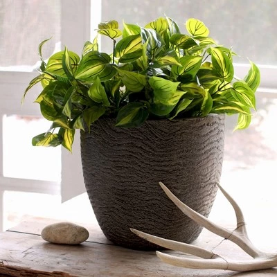 Brand new ๐ The HC Companies HC Companies ANP17500 17.5 Inch Aspen Indoor Outdoor Round Fiberglass Planter Pot with Contemporary Textured Design, Charcoal ๐ 3 Brand new ๐ The HC Companies HC Companies ANP17500 17.5 Inch Aspen Indoor Outdoor Round Fiberglass Planter Pot with Contemporary Textured Design, Charcoal ๐