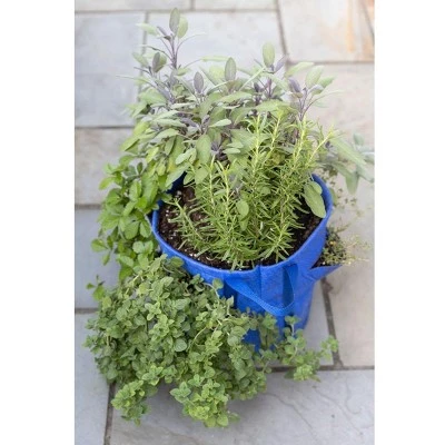 Cheapest 😍 Gardener’s Best® Strawberry and Herb Grow Bag - Gardener's Supply Company 🔔 3 Cheapest 😍 Gardener’s Best® Strawberry and Herb Grow Bag - Gardener's Supply Company 🔔