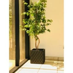 Outlet ❤️ Kante Lightweight Outdoor Retro Square Concrete Planter Burnished Black - Rosemead Home & Garden, Inc. 🛒 -Planters Sales Store unnamed file 4680