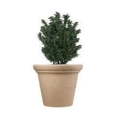 Cheap ✔️ The HC Companies HC Companies 17 Inch Outdoor and Indoor Terrazzo Round House Planter with Heavy Rim for Flowers, Vegetables, and Succulents, Sandstone 🎁 -Planters Sales Store unnamed file 4712