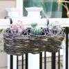 Best Pirce 🔔 Sunnydaze Decor Sunnydaze Indoor/Outdoor Polyrattan Over-the-Rail Tri-Planter with 3 Round Black Plastic Liners - Charcoal 👏 -Planters Sales Store unnamed file 4722