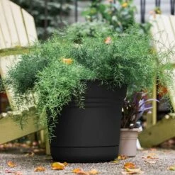 Flash Sale ⌛ Bloem SP1400 Saturn Indoor Outdoor 14 Inch Matte Finish Durable Polypropylene Planter Pot with Saucer and Pre Drilled Drainage Holes, Black (2 Pack) 🔥 -Planters Sales Store unnamed file 4735