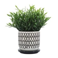 Coupon 👍 Sagebrook Home 5" "X" Ceramic Planter with Saucer Olive ✨