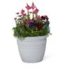 New ⌛ 16" Cortina Self-Watering Planter - Gardener's Supply Company 🥰 -Planters Sales Store unnamed file 4757